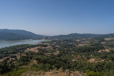 Draham, Kuzey Tunus, Temmuz 2020