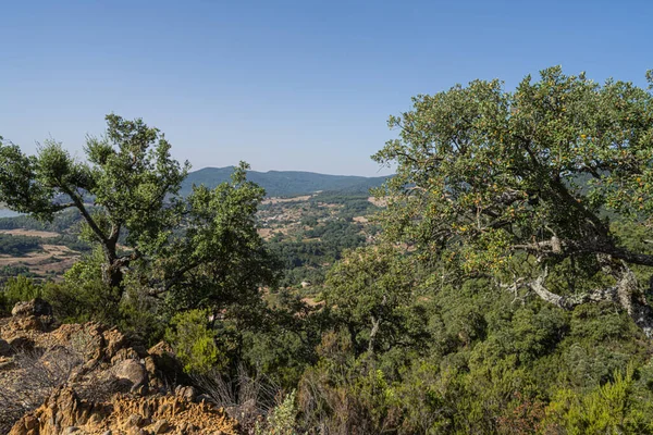 Draham, Kuzey Tunus, Temmuz 2020