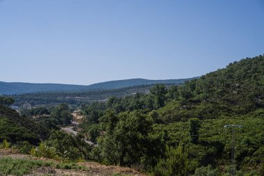 Draham, Kuzey Tunus, Temmuz 2020