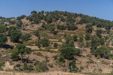 Draham, Kuzey Tunus, Temmuz 2020