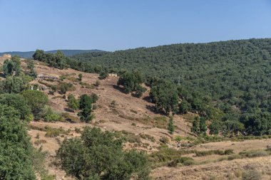 Draham, Kuzey Tunus, Temmuz 2020