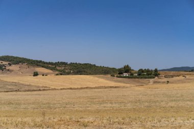 Ain Draham 'ın Görüşleri - Tunus