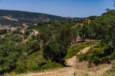 Ain Draham 'ın Görüşleri - Tunus