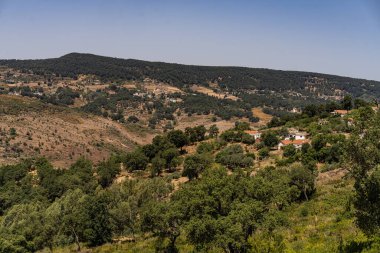 Ain Draham 'ın Görüşleri - Tunus