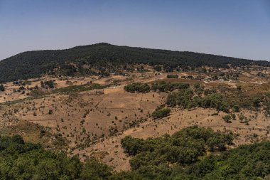 Ain Draham 'ın Görüşleri - Tunus