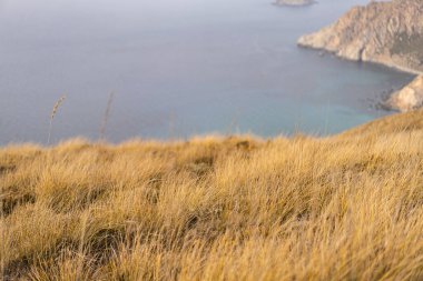 La Galite Adaları, Kuzey Tunus, Ağustos 2020