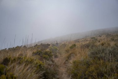 La Galite Adaları, Kuzey Tunus, Ağustos 2020