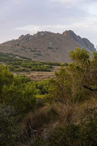 La Galite Adaları, Kuzey Tunus, Ağustos 2020