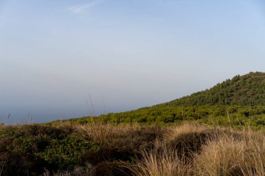 La Galite Adaları, Kuzey Tunus, Ağustos 2020