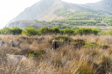 La Galite Adaları, Kuzey Tunus, Ağustos 2020