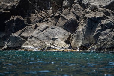 La Galite Adaları, Kuzey Tunus, Ağustos 2020