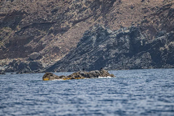 Galite Islands Northern Tunisia August 2020 — Stock Photo, Image