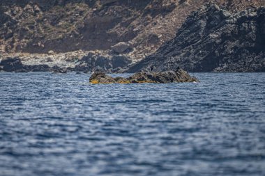 La Galite Adaları, Kuzey Tunus, Ağustos 2020