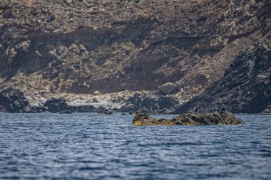 La Galite Adaları, Kuzey Tunus, Ağustos 2020