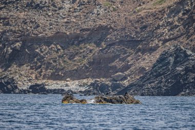 La Galite Adaları, Kuzey Tunus, Ağustos 2020