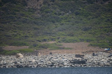 La Galite Adaları, Kuzey Tunus, Ağustos 2020