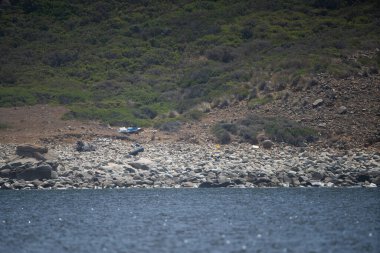 La Galite Adaları, Kuzey Tunus, Ağustos 2020