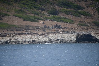 La Galite Adaları, Kuzey Tunus, Ağustos 2020