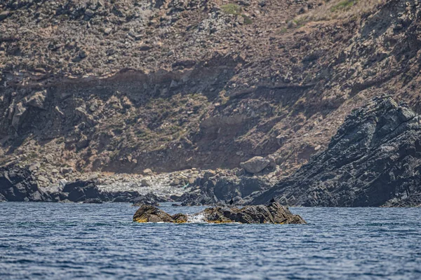 La Galite Adaları, Kuzey Tunus, Ağustos 2020