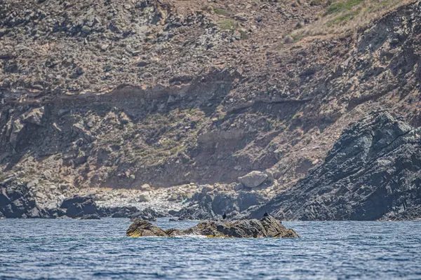 Îles Galite Nord Tunisie Août 2020 — Photo