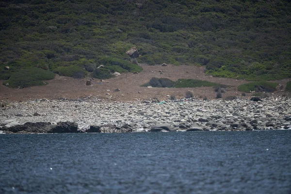 La Galite Adaları, Kuzey Tunus, Ağustos 2020