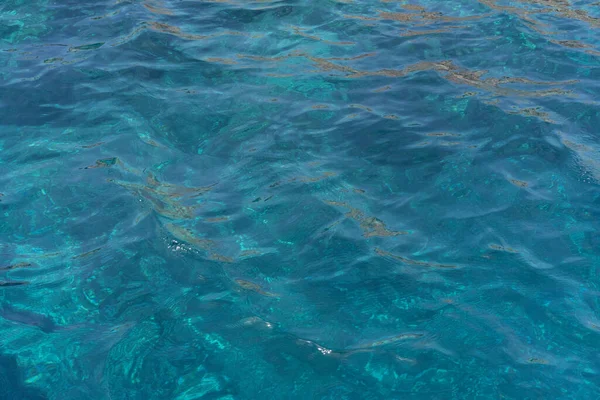 La Galite Adaları, Kuzey Tunus, Ağustos 2020