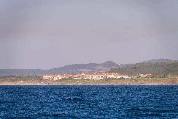 Tunisiska Kusten Regionen Tabarka — Stockfoto