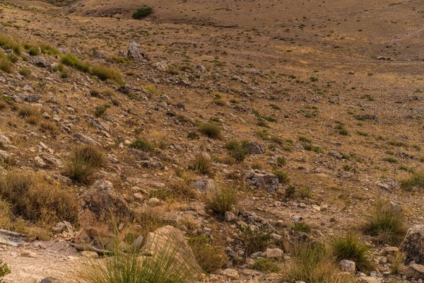 Tunus Kuzey Manzarası Kef Valiliği — Stok fotoğraf