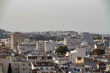  Tunus 'un kuş bakışı manzarası başkenti ve Tunus' un en büyük şehridir.