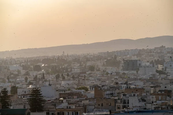 Blick Aus Der Vogelperspektive Auf Tunis Ist Die Hauptstadt Und — Stockfoto