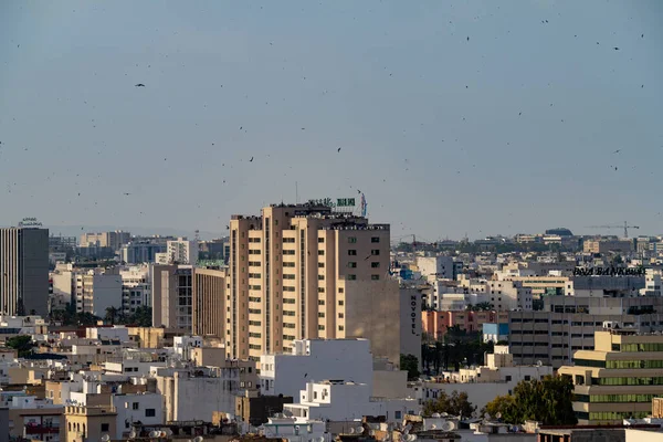 Bird Eyes View Tunis Capital Largest City Tunisia — Stock Photo, Image