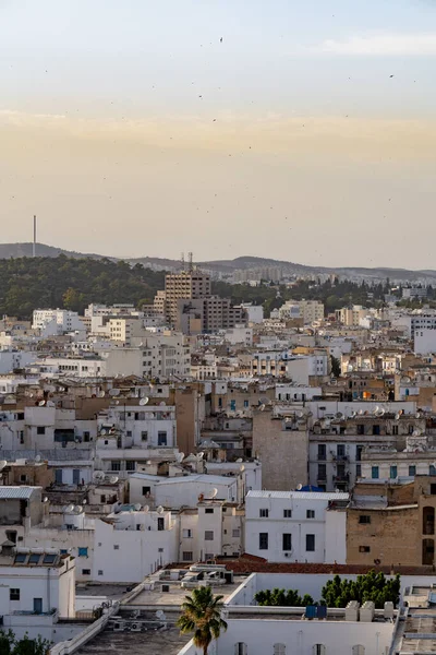 Vista Degli Occhi Degli Uccelli Tunisi Capitale Più Grande Città — Foto Stock