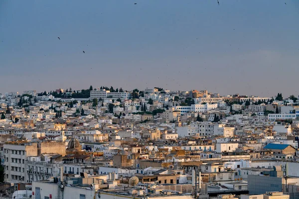 Bird Eyes View Tunis Capital Largest City Tunisia — Stock Photo, Image