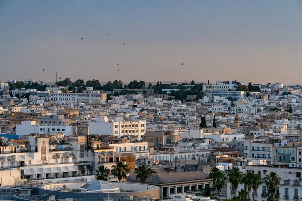 Blick Aus Der Vogelperspektive Auf Tunis Ist Die Hauptstadt Und — Stockfoto