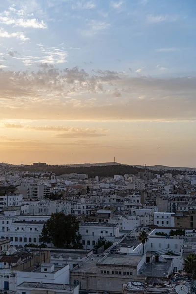 Vista Aves Túnez Capital Ciudad Más Grande Túnez —  Fotos de Stock