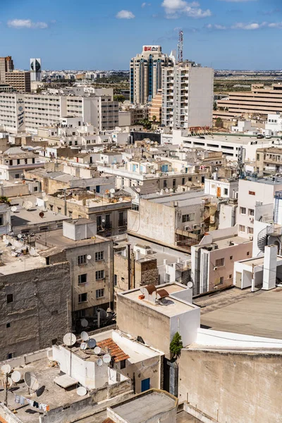 튀니지의 도시인 튀니스가 새들의 — 스톡 사진