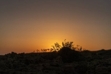Kumsalda sabah ve gün doğumu - Kuzey Tunus