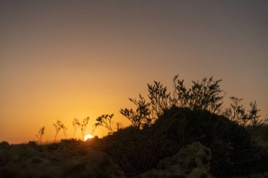 Kumsalda sabah ve gün doğumu - Kuzey Tunus