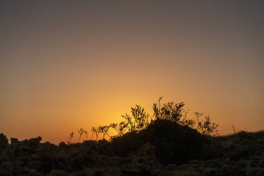 Kumsalda sabah ve gün doğumu - Kuzey Tunus