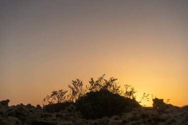 Kumsalda sabah ve gün doğumu - Kuzey Tunus