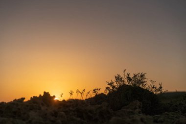 Kumsalda sabah ve gün doğumu - Kuzey Tunus