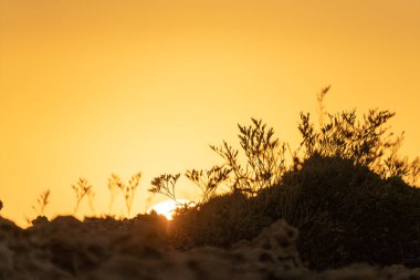 Kumsalda sabah ve gün doğumu - Kuzey Tunus