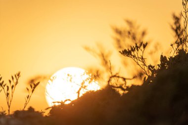 Kumsalda sabah ve gün doğumu - Kuzey Tunus