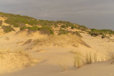 Kumsalda sabah ve gün doğumu - Kuzey Tunus