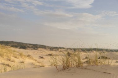Kumsalda sabah ve gün doğumu - Kuzey Tunus