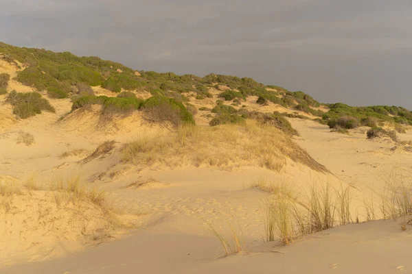Kumsalda sabah ve gün doğumu - Kuzey Tunus