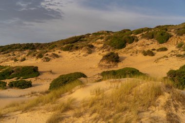 Kumsalda sabah ve gün doğumu - Kuzey Tunus