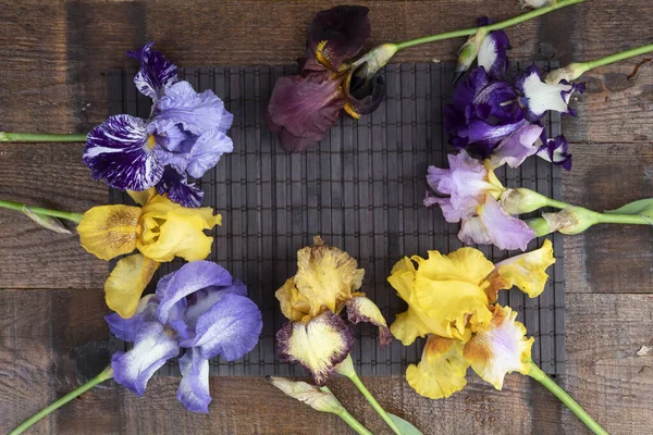 Germen Süsen Çiçeklerinin Çiçeklerinin Güzel Arka Planı — Stok fotoğraf