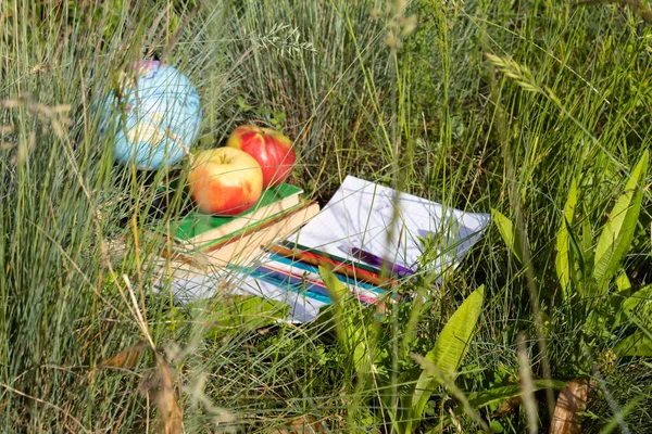 Gras Liegen Bücher Ein Notizbuch Bleistifte Äpfel Und Eine Weltkugel — Stockfoto