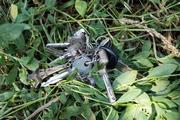 Ein Bündel Verlorener Schlüssel Liegt Gras — Stockfoto